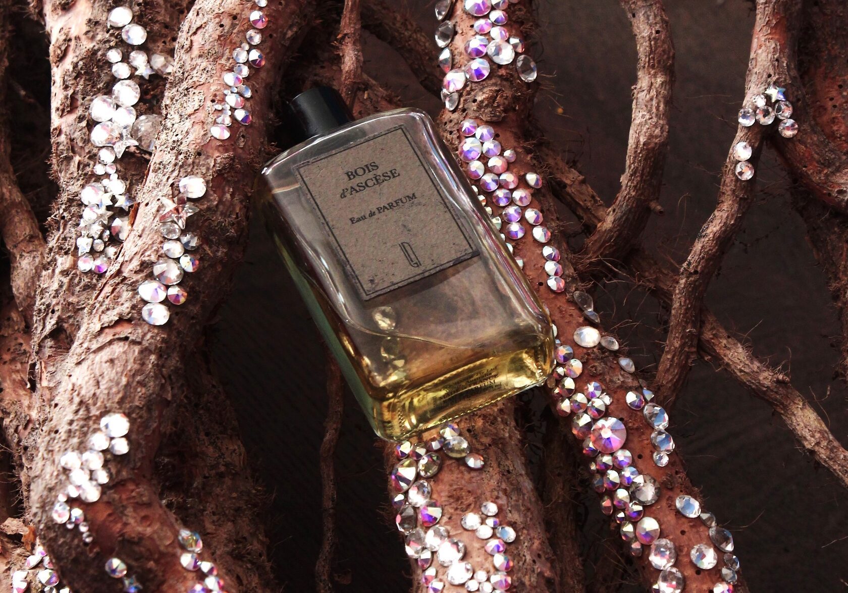 Naomi project image 1