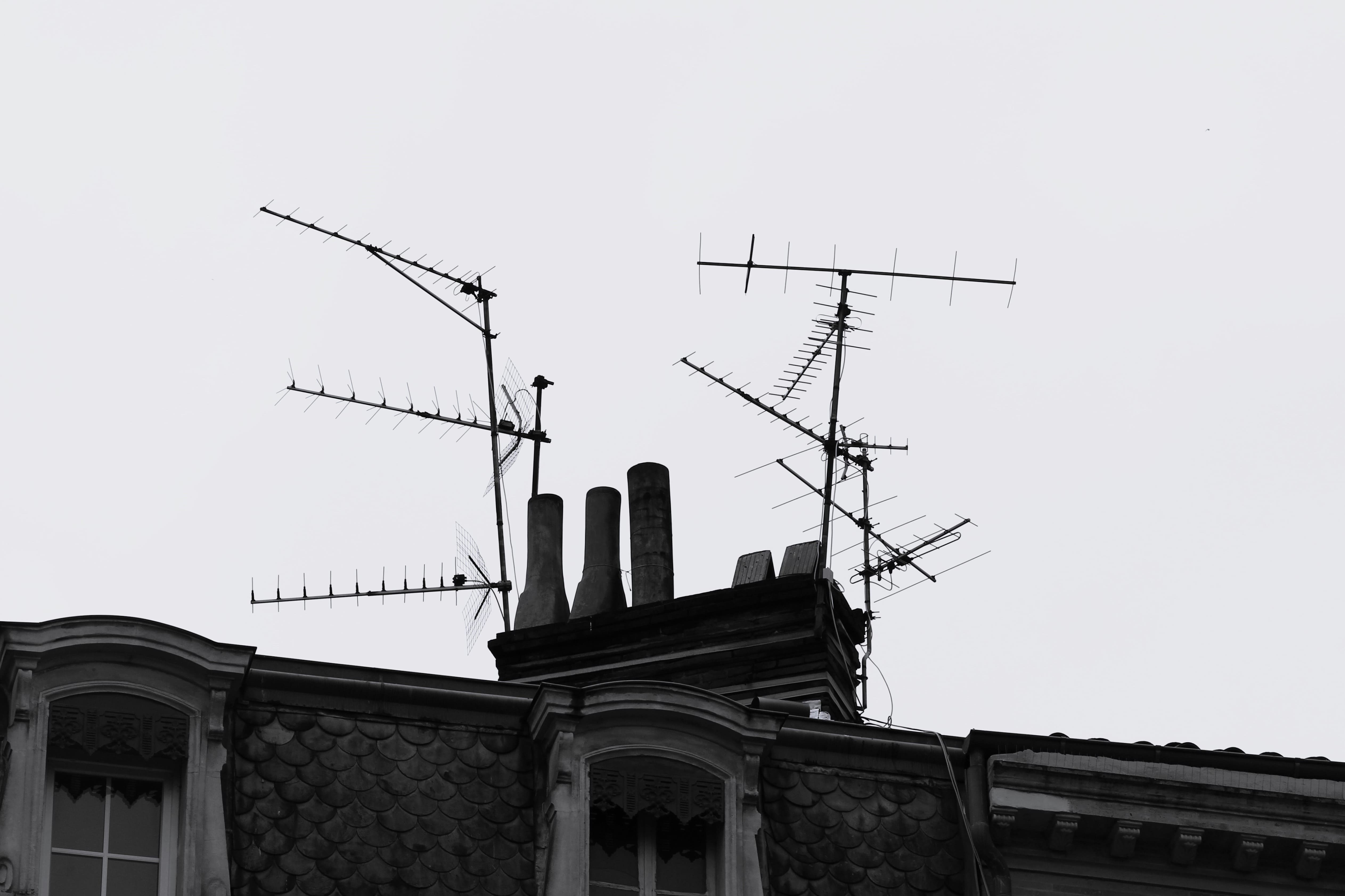 Mariinsky horizontal image 1